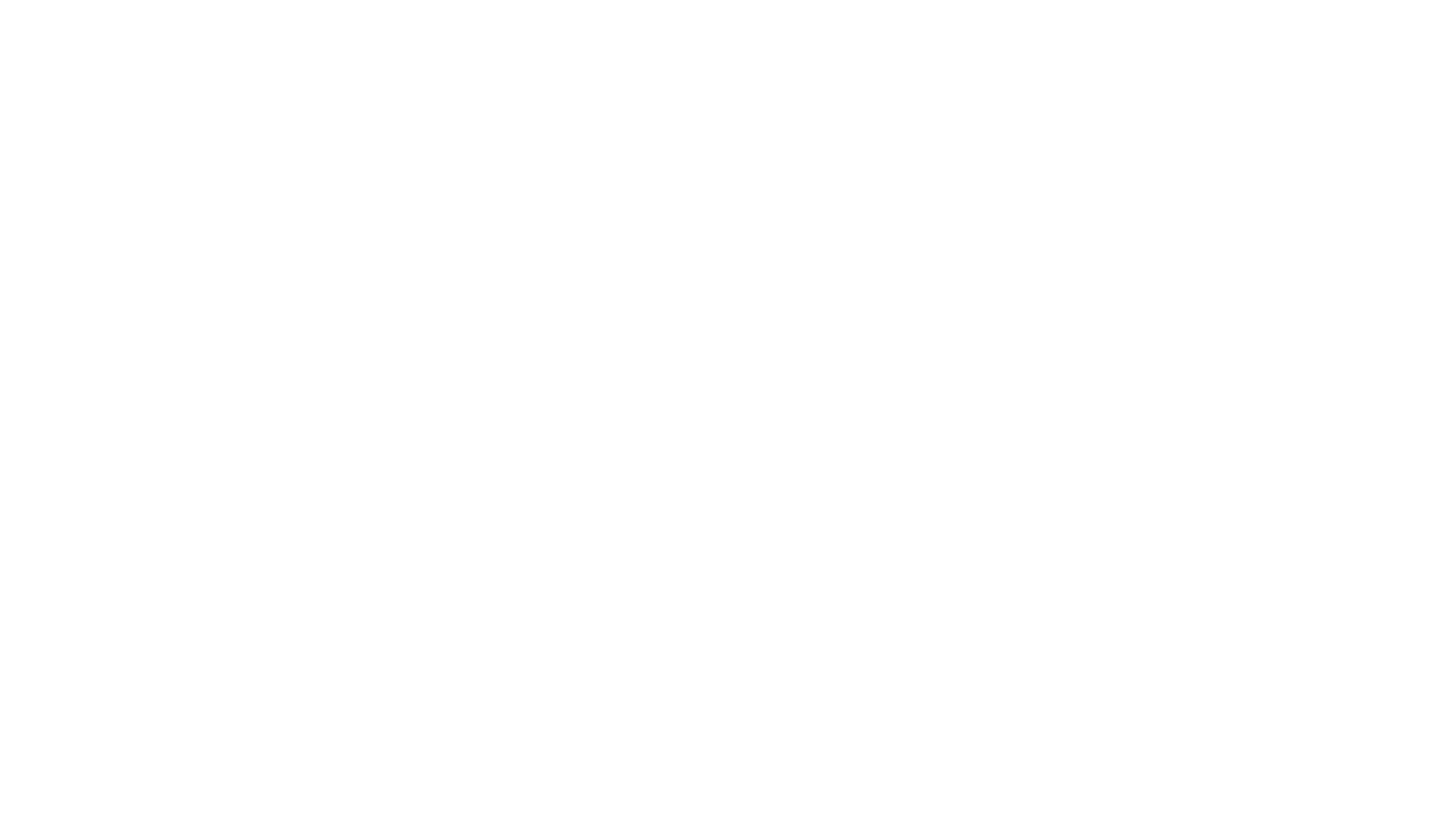 Xero Bronze Partner